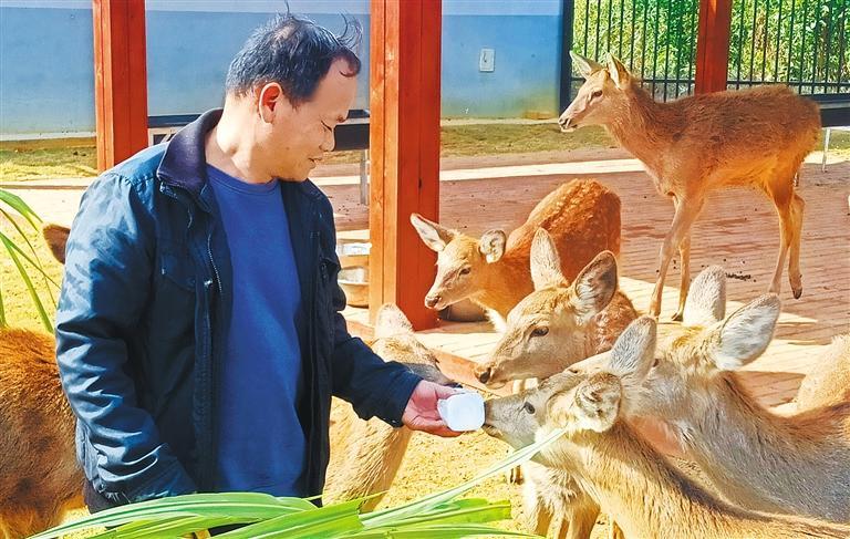 质量发展产业调研】林下生金冰球突破豪华版app【高(图2)